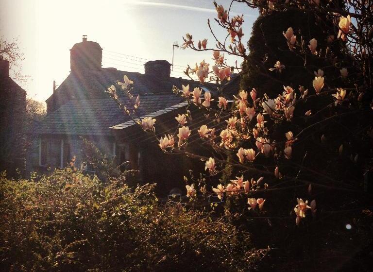 ホテル Victoria Inn