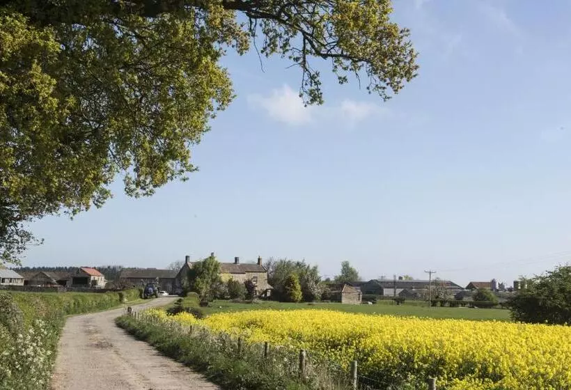 Mallard Grange B&b