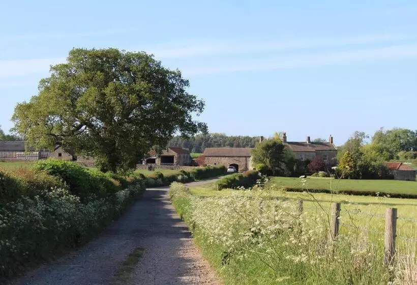 Mallard Grange B&b