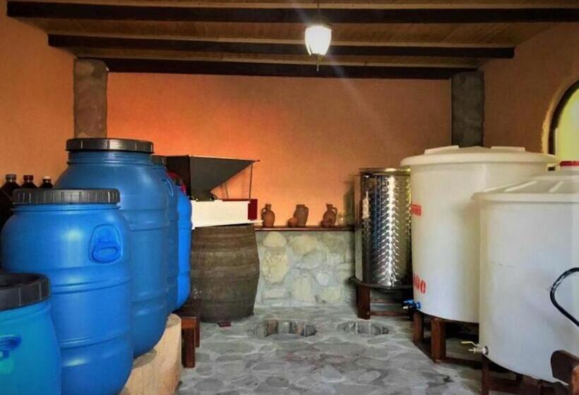 هاستل Guesthouse Lilia &wine Celler