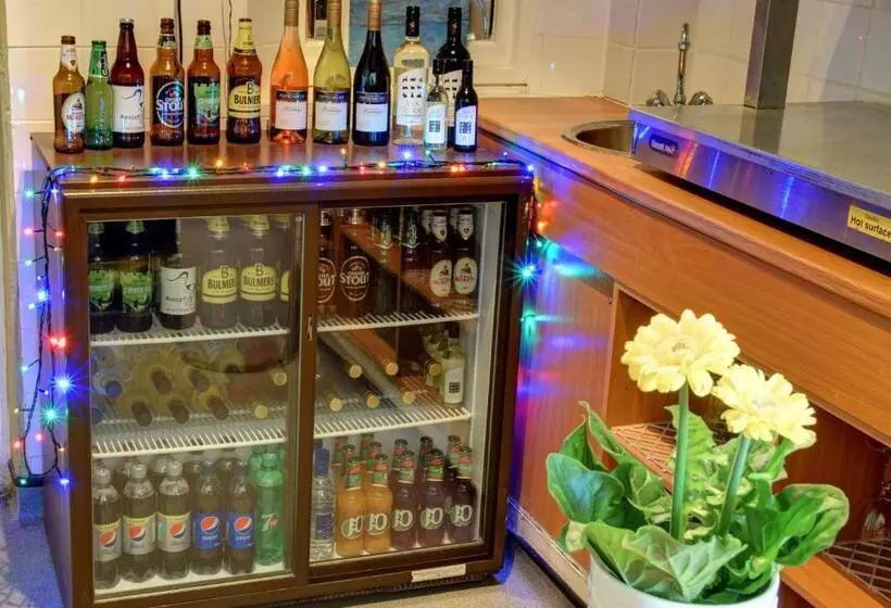Alberg Yha Beer