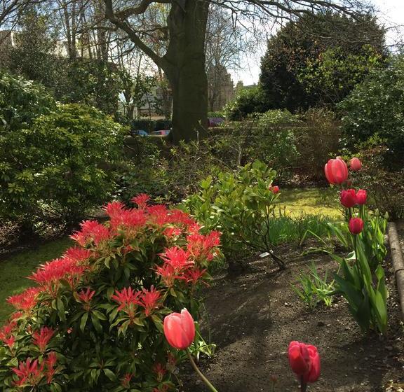 تختخواب و صبحانه Claremont House