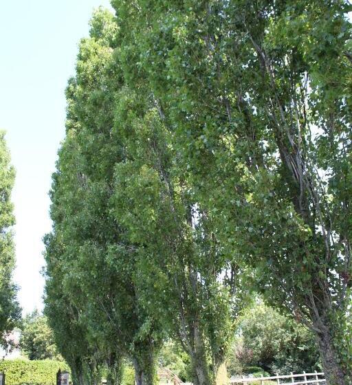 住宿加早餐 Norbin Farm