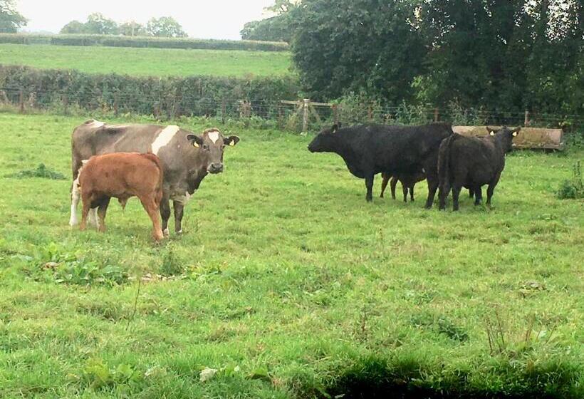 住宿加早餐 Norbin Farm