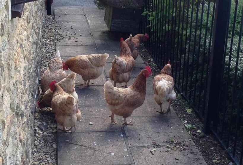 住宿加早餐 Norbin Farm