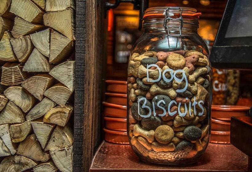 Bed and Breakfast The Swan Inn