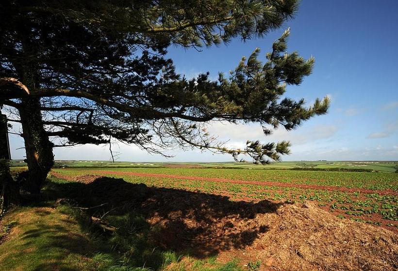 Fields Lodge Bed & Breakfast