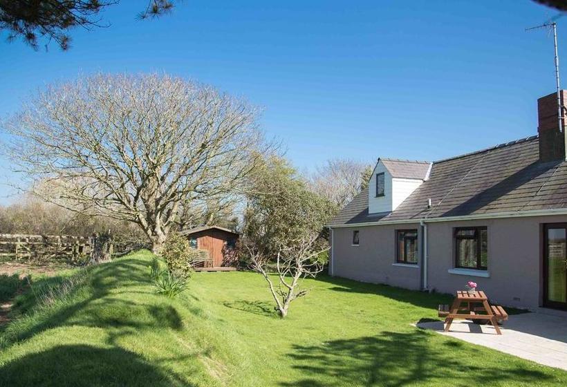 Fields Lodge Bed & Breakfast