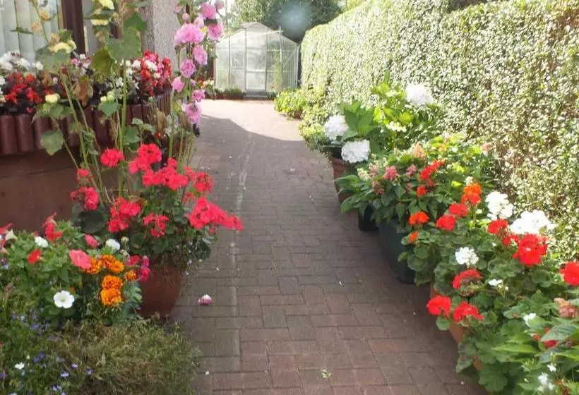 Glendarroch B&b