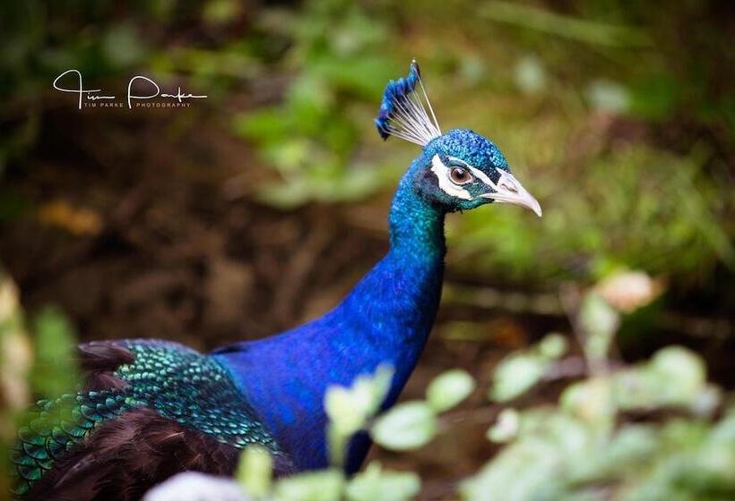 호텔 Hornsbury Mill