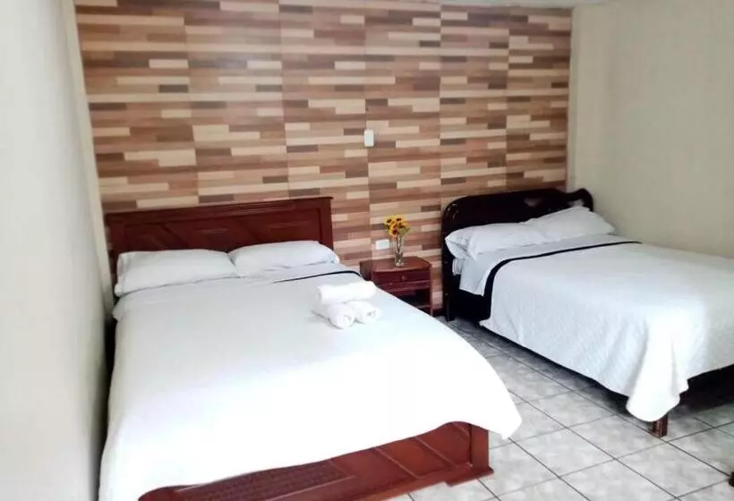 ホテル Hostal Anais