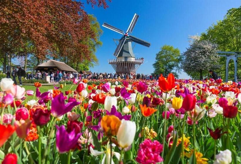 בית מלון כפרי Ibis Styles Amsterdam Airport