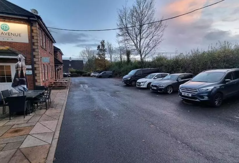 The Avenue Hotel Ltd