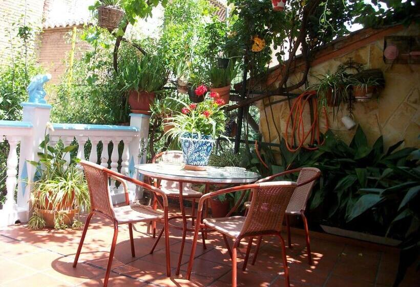 هاستل Pensión Moni Albayzin