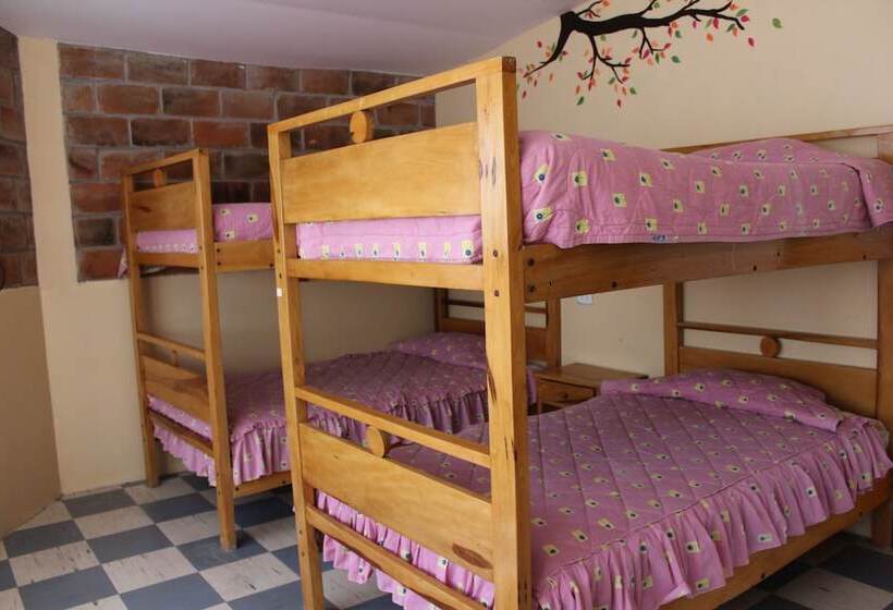 فندق صغير Tungurahua