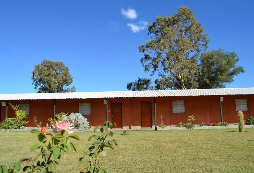Aamiaismajoitus (B&B) Don Remo