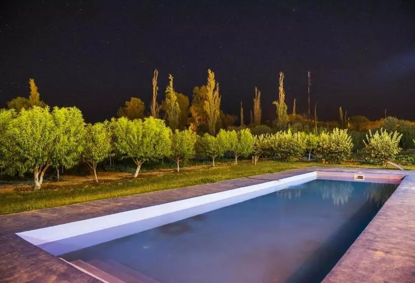 Aamiaismajoitus (B&B) Don Remo