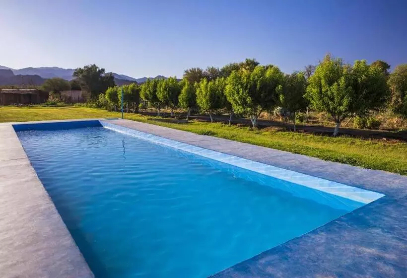 Aamiaismajoitus (B&B) Don Remo