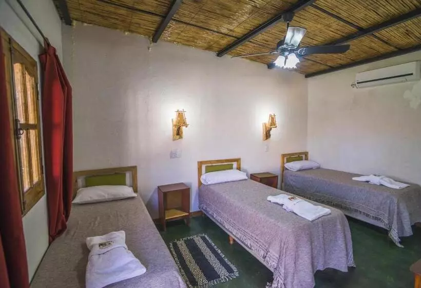 Aamiaismajoitus (B&B) Don Remo