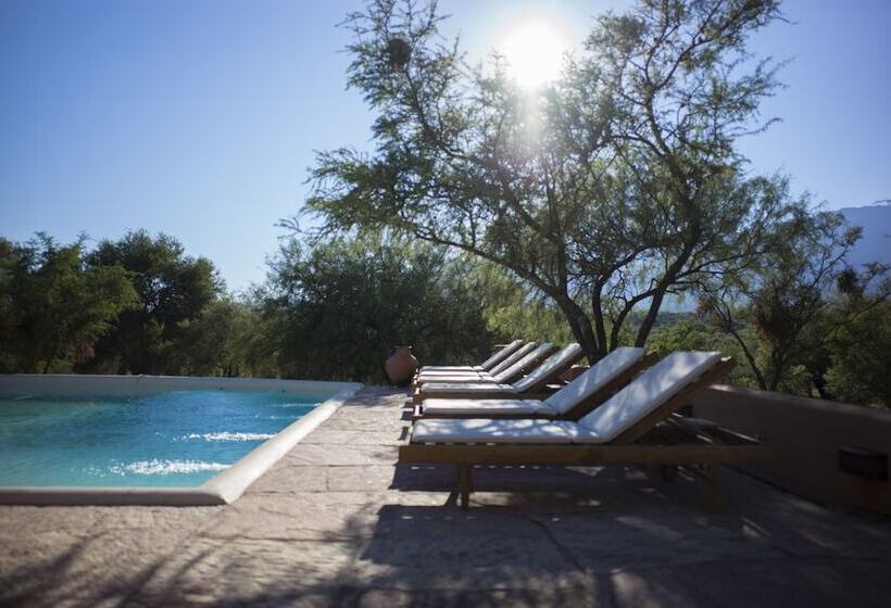 בית מלון כפרי Posada Rural La Matilde