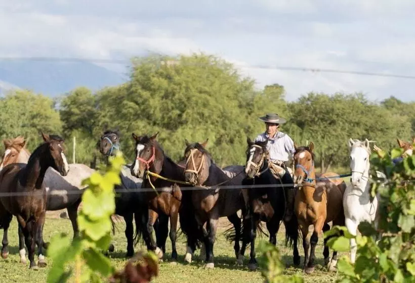 ホテル Posada Rural La Matilde