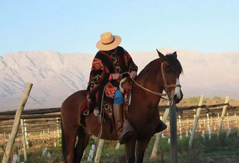 ホテル Posada Rural La Matilde