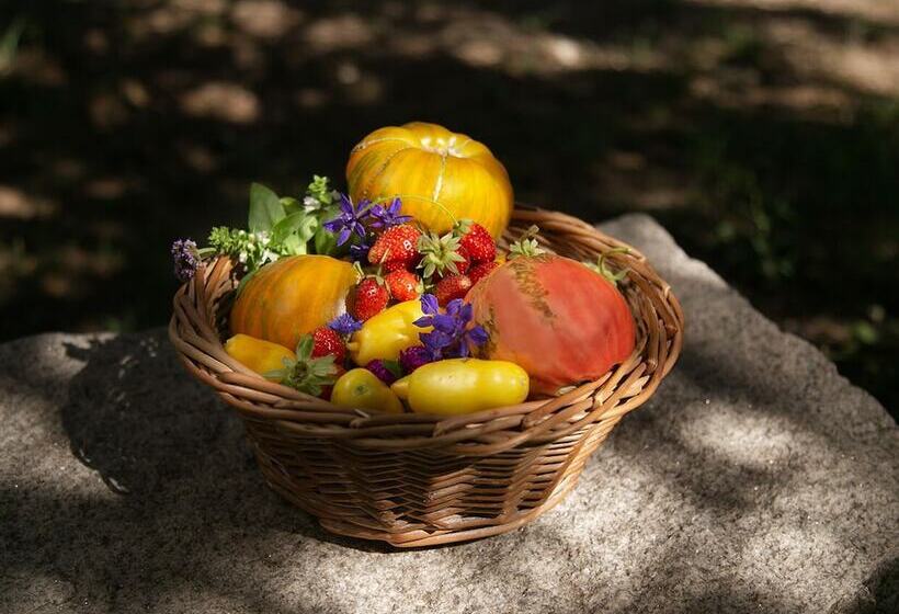 בית מלון כפרי Posada Rural La Matilde