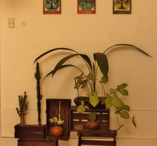 هاستل Hostal Mochiliers Bed And Breakfast