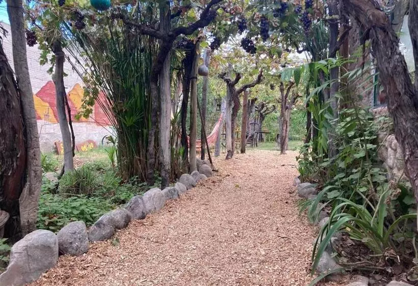ユースホステル Casa Prana Estudio De Yoga