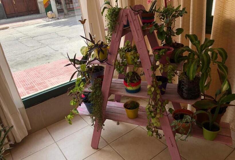 هاستل La Morada Hosteria