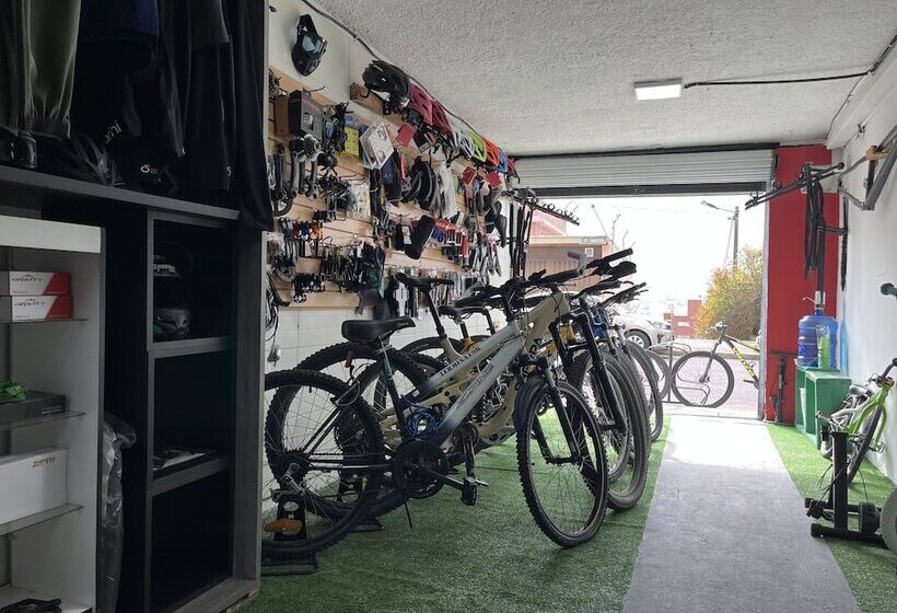 Общежитие St. Gallen Haus