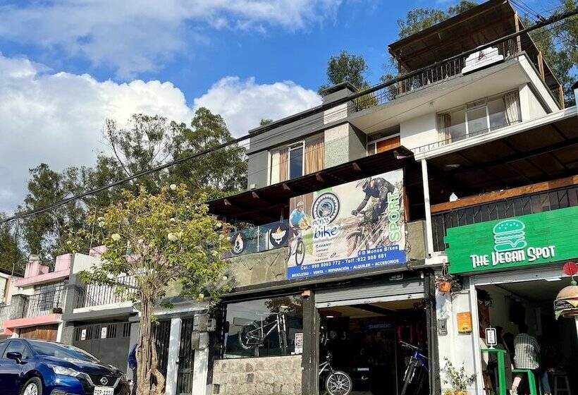 Общежитие St. Gallen Haus