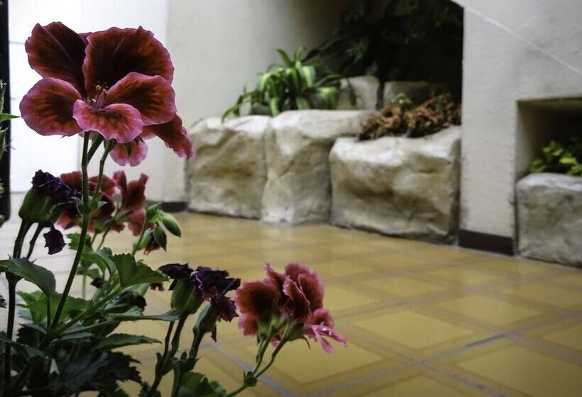 Bed and Breakfast Mariscal Inn & Suites