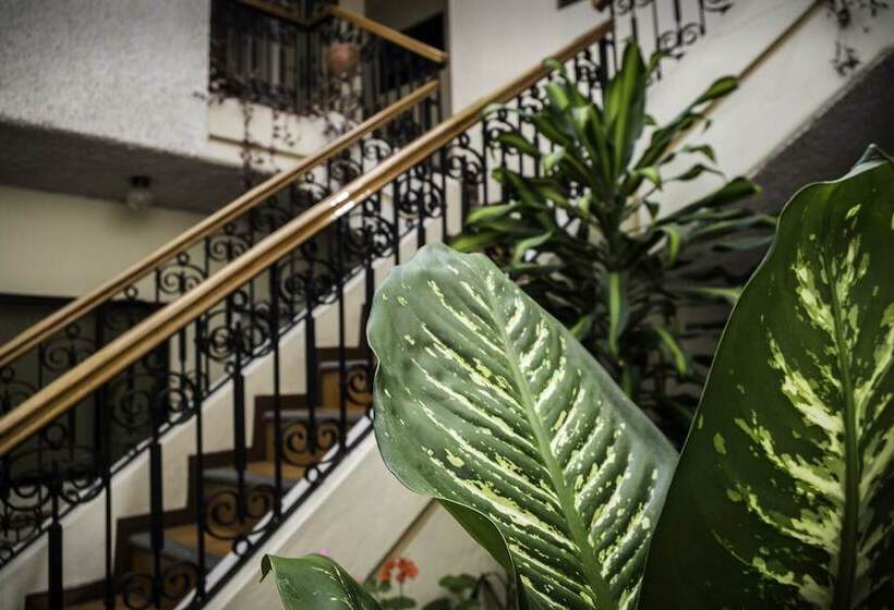 Bed and Breakfast Mariscal Inn & Suites