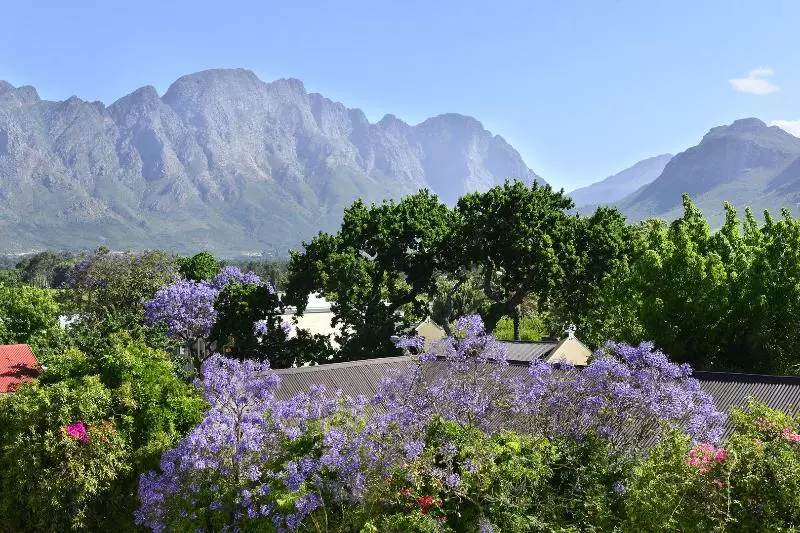 Franschhoek Boutique Hotel Lion Roars Hotels & Lodges