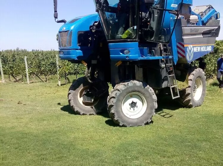 ホテル Posada Cavieres Wine Farm