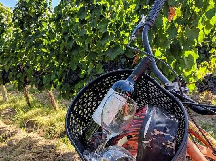 ホテル Posada Cavieres Wine Farm