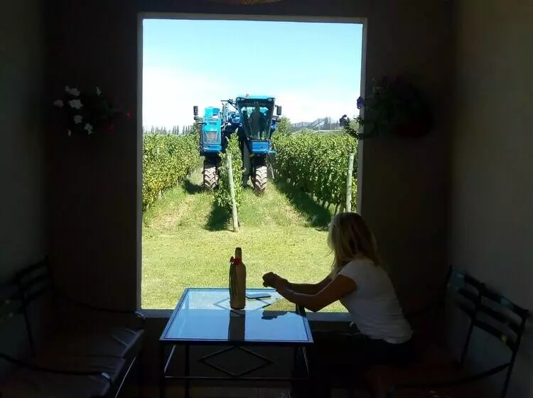 ホテル Posada Cavieres Wine Farm