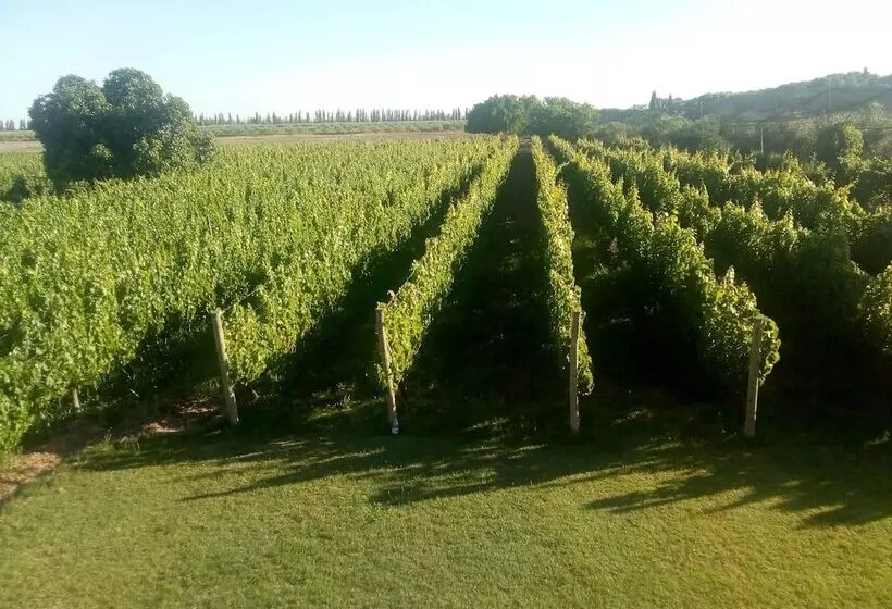 ホテル Posada Cavieres Wine Farm