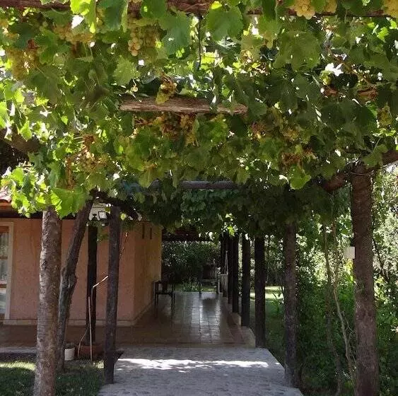 ホテル Posada Cavieres Wine Farm