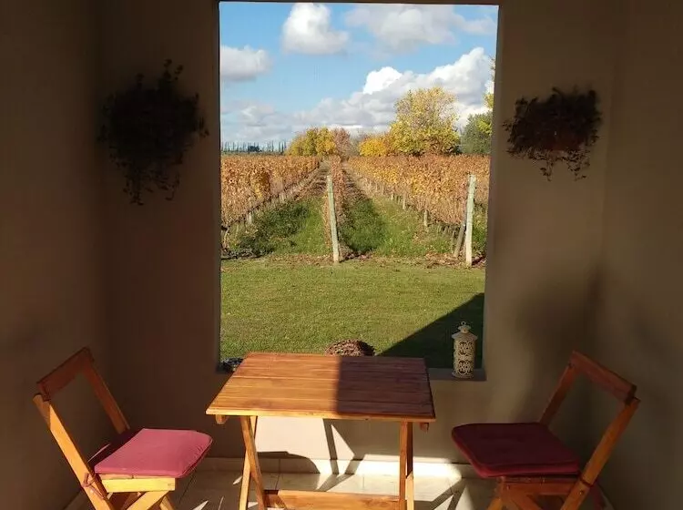 ホテル Posada Cavieres Wine Farm