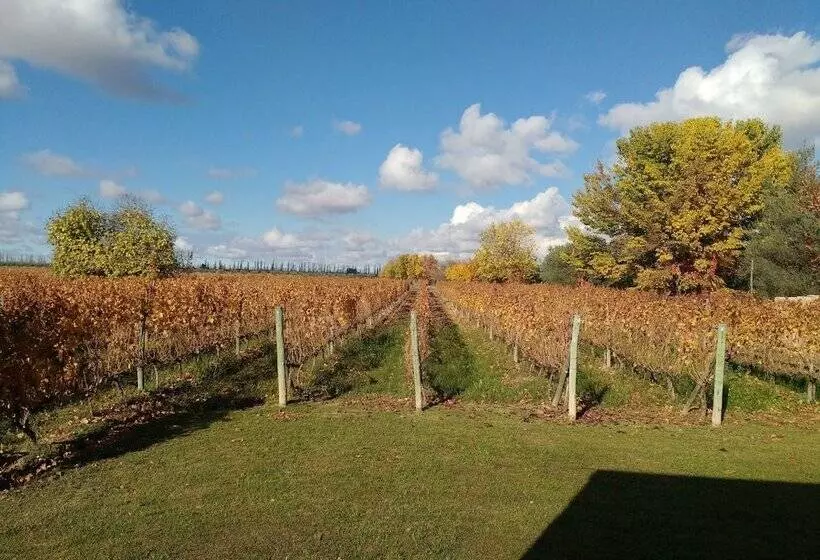ホテル Posada Cavieres Wine Farm