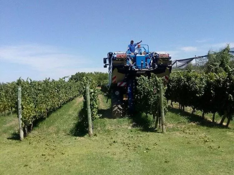 ホテル Posada Cavieres Wine Farm