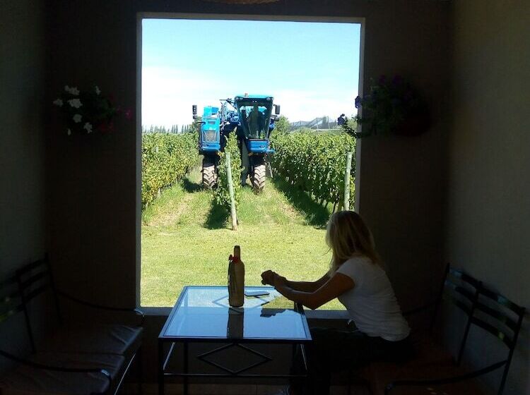 فندق Posada Cavieres Wine Farm