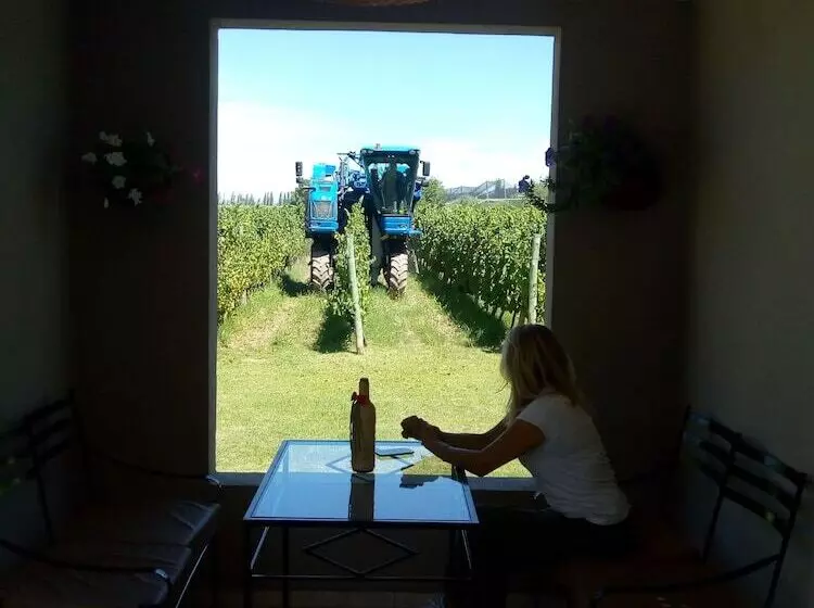 ホテル Posada Cavieres Wine Farm