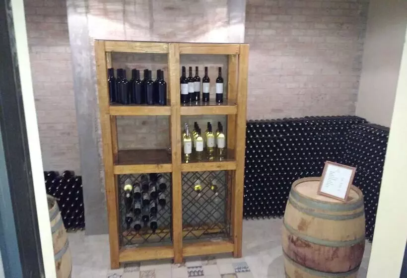 ホテル Posada Cavieres Wine Farm