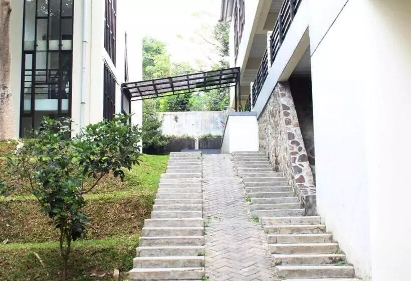 Hotel Pp University