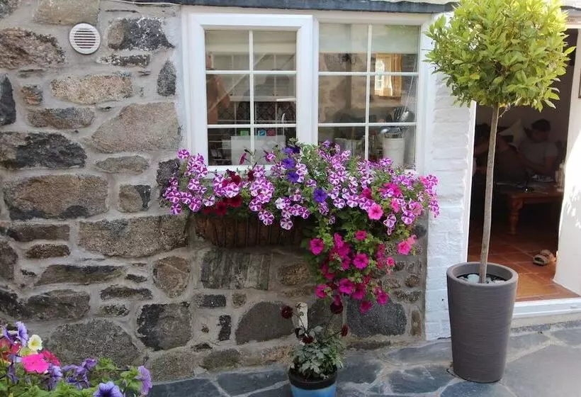 Ginentonic Cottage