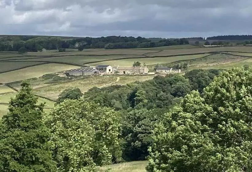 Moorlands Farm Holidays