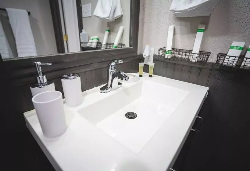پانسیون La Palma Guesthouse